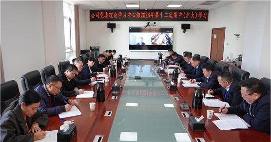 公司黨委舉行理論學(xué)習(xí)中心組2024年第十二次集中(擴大)學(xué)習(xí)