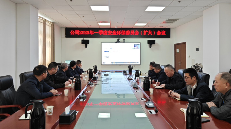 中國化學(xué)四化建召開2025年一季度安委會(擴(kuò)大)會議